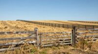 western fencing and gateways