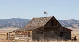 wind dust distance influence