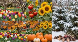 year round gardening schedule