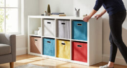 12 Best KALLAX Storage Cubes in 2026