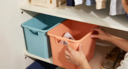 5 Best Dorm Room Organization Bins in 2026